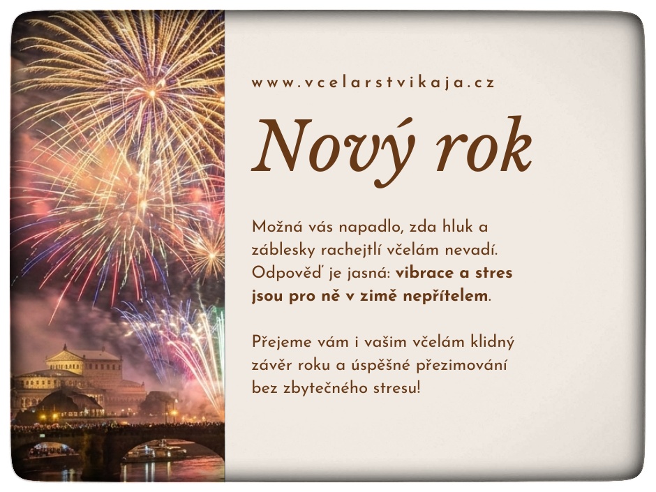 Včely a novoroční oslavy